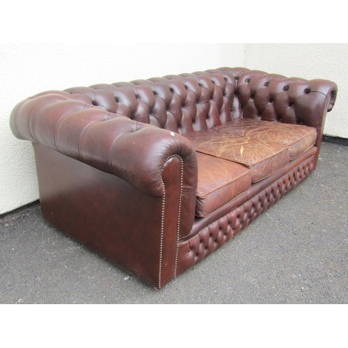 1565A - A brown leather chesterfield three seat sofa, with rolled and buttoned arms and back