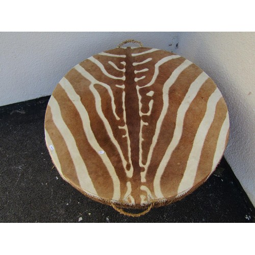 1570 - An African Zebra skin drum table, on hoof supports, 55cm high, 87cm diameter.