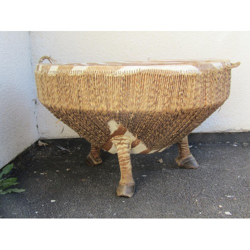 1570 - An African Zebra skin drum table, on hoof supports, 55cm high, 87cm diameter.