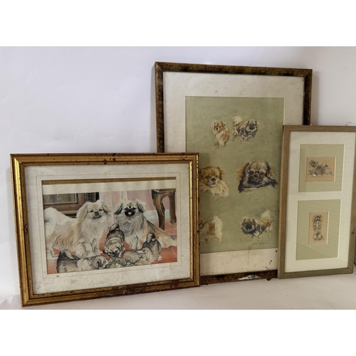 1715 - A painting and two prints of Pekingese dogs by different artists, to include: Richard Callingham - W... 