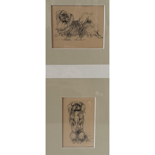 1715 - A painting and two prints of Pekingese dogs by different artists, to include: Richard Callingham - W... 