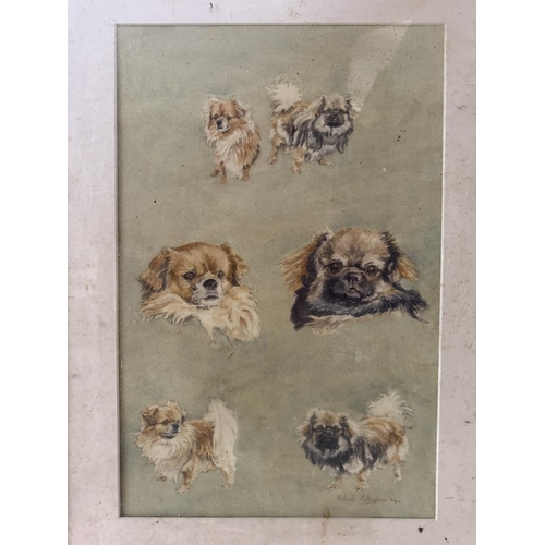 1715 - A painting and two prints of Pekingese dogs by different artists, to include: Richard Callingham - W... 