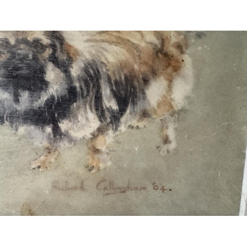 1715 - A painting and two prints of Pekingese dogs by different artists, to include: Richard Callingham - W... 