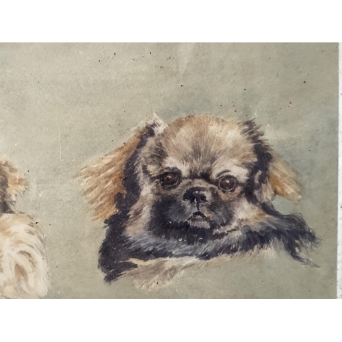 1715 - A painting and two prints of Pekingese dogs by different artists, to include: Richard Callingham - W... 