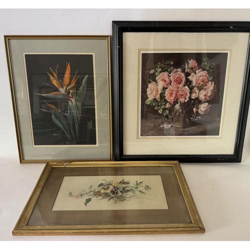 1724 - Three paintings and prints of botanical studies, to include: Anne Cotterill (1933-2010) - A jug of r... 