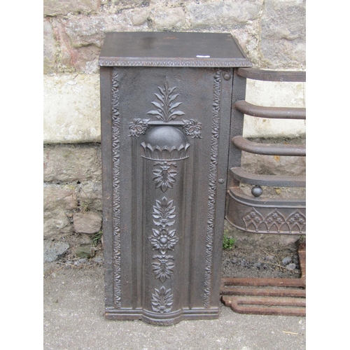 1128 - A Regency iron fire grate, with foliate and floral moulded detail, 61cm high, 97 x 27cm.