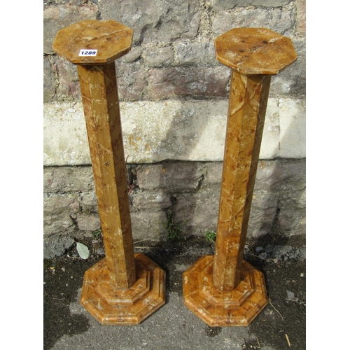 1289 - A pair of decorative late 19th / early 20th century scumbled painted pine octagonal plinth column st... 