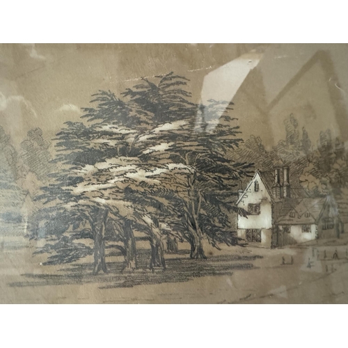 1685 - Two 19th century landscape studies: Thomas Lound (1802 - 1861) - 'Cedar Trees in Richmond Trees', pe... 