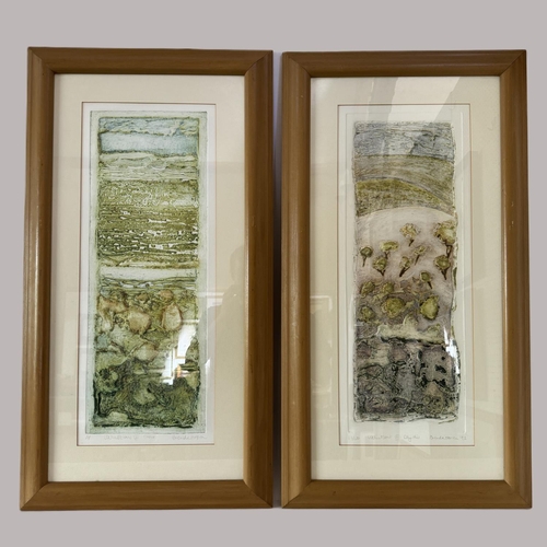 1643 - Brenda Hartill (b.1943) - Two limited edition embossed prints, titled: 'Variations VII - Stone' (art... 