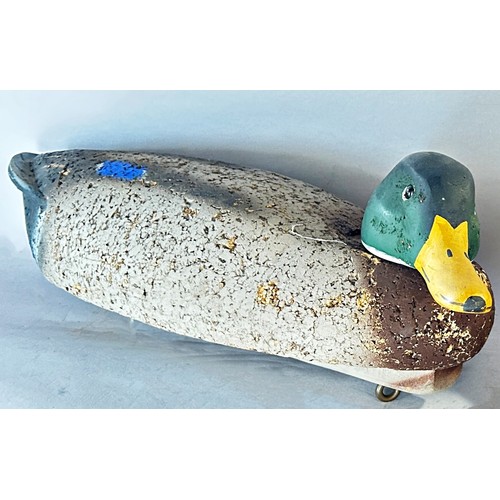 558 - A large 20th century Mallard Drake decoy duck, of painted timber and cork construction, 36cm long, t... 