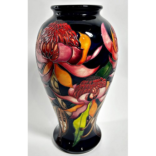 20 - A Moorcroft baluster shape vase, New World Waratah pattern, with original box, 26cm high