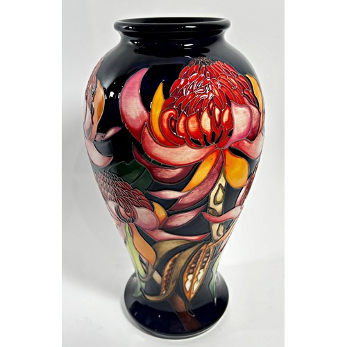 20 - A Moorcroft baluster shape vase, New World Waratah pattern, with original box, 26cm high