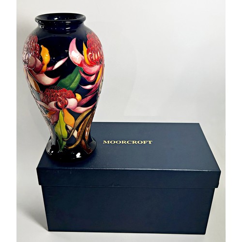 20 - A Moorcroft baluster shape vase, New World Waratah pattern, with original box, 26cm high