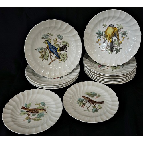 33 - A set of fifteen Copeland Spode plates, each depicting an individual bird with script to reverse, 23... 