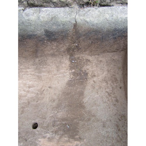 1091 - A weathered carved natural stone two divisional trough of rectangular form, 19cm high, 108 x 39cm. (... 