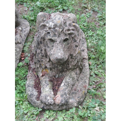 1052 - A pair of weathered cast composition stone ornament in the form of recumbent lions 36 cm high x 70 c... 