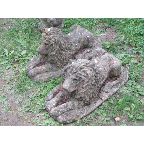 1052 - A pair of weathered cast composition stone ornament in the form of recumbent lions 36 cm high x 70 c... 