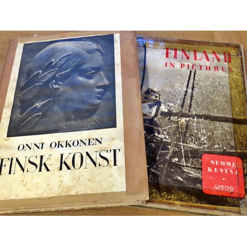 807 - An extensive collection (40+) of Finnish literature