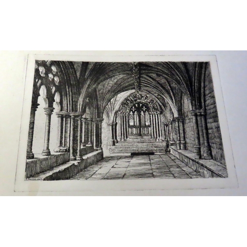 858 - A large (50 x 35cm) tome on Cathedral Cities - Ely and Norwich (1883) drawn and etched by R Farren (... 