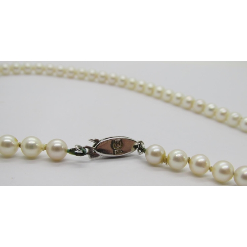 415 - Mikimoto pearl necklace with silver clasp, retailed by Lane Crawford, Hong Kong, sixty-eight pearls ... 