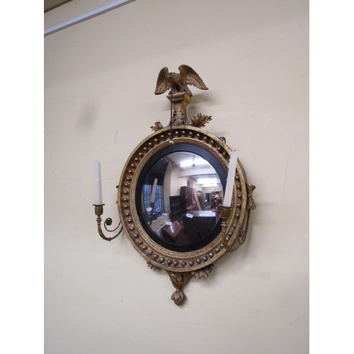 1638 - A regency convex mirror surrmounted by an eagle, supporting two candle sconces with original gilding... 