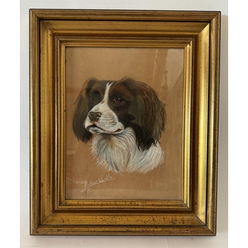 1832 - Follower of Arthur Wardle (British, 1860-1949) - Pastel study of the head of a spaniel, bearing sign... 