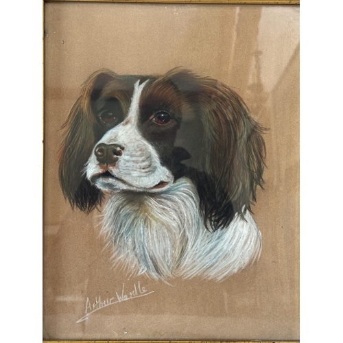 1832 - Follower of Arthur Wardle (British, 1860-1949) - Pastel study of the head of a spaniel, bearing sign... 