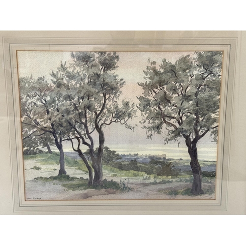 1877 - Eileen Trench (20th Century) - Trees with a town in the distance, signed 'E.M.C. Trench' lower left,... 