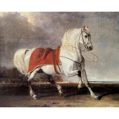 1891 - After Abraham Cooper (1784-1868) - White Arab Stallion 'Millenium', framed print in colours, 45 x 55... 