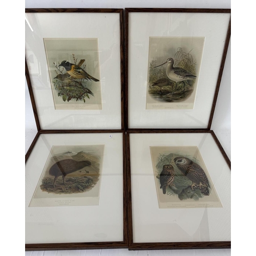 1924 - After Johannes Gerardus Keulemans (Dutch, 1842-1912) - A Set of Nine Chromolithographic prints of bi... 