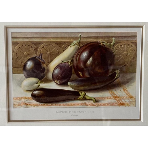 1925 - After Louis Fairfax Muckley (1862-1926) - A set of four chromolithographic prints of still lifes of ... 