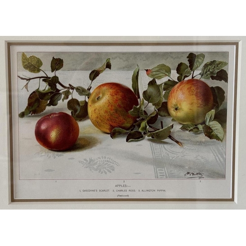 1925 - After Louis Fairfax Muckley (1862-1926) - A set of four chromolithographic prints of still lifes of ... 