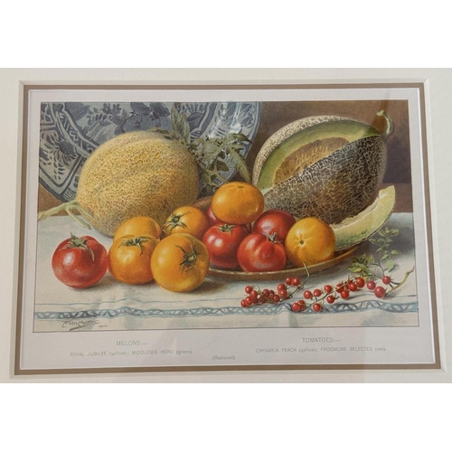 1925 - After Louis Fairfax Muckley (1862-1926) - A set of four chromolithographic prints of still lifes of ... 