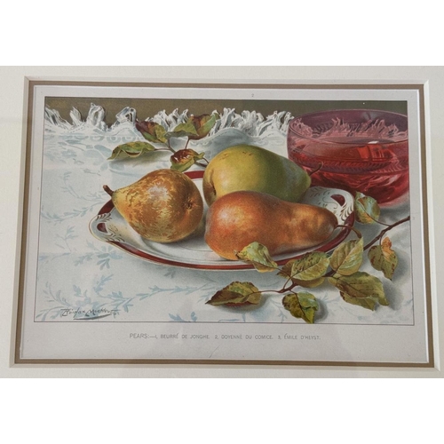 1925 - After Louis Fairfax Muckley (1862-1926) - A set of four chromolithographic prints of still lifes of ... 