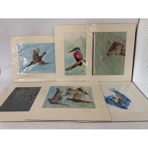 1952 - Jonathan Poole (Contemporary) - Six watercolour paintings of birds and fish in motion, signed in pen... 