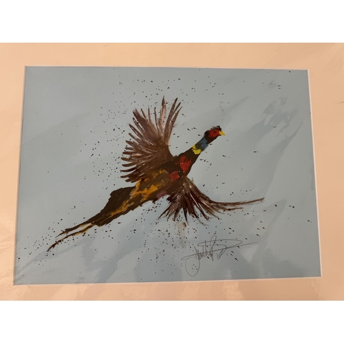 1952 - Jonathan Poole (Contemporary) - Six watercolour paintings of birds and fish in motion, signed in pen... 