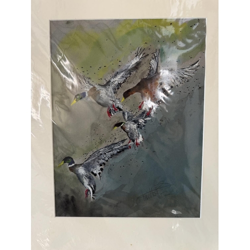 1952 - Jonathan Poole (Contemporary) - Six watercolour paintings of birds and fish in motion, signed in pen... 