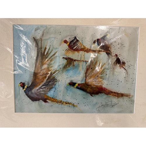 1952 - Jonathan Poole (Contemporary) - Six watercolour paintings of birds and fish in motion, signed in pen... 