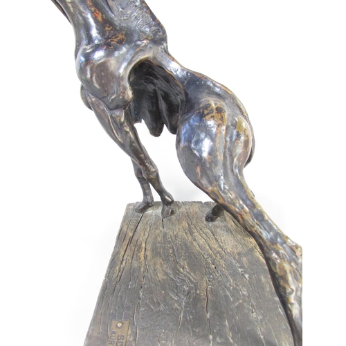 592 - A Bronzed sculpture “The Spirit Of Africa “ Gryphon, raised on a wooden base, bearing a label Sculpt... 