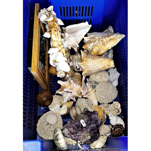 740 - A good selection of tropical and exotic seashells, some tied into a wreath, a chunk of amethyst crys... 