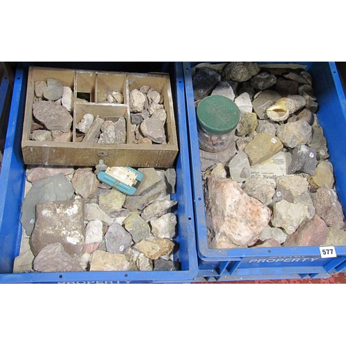 577 - A large collection of fossils, shells and rock specimens