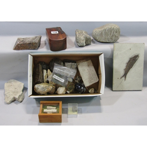 738 - A collection of geological specimens and fossils.