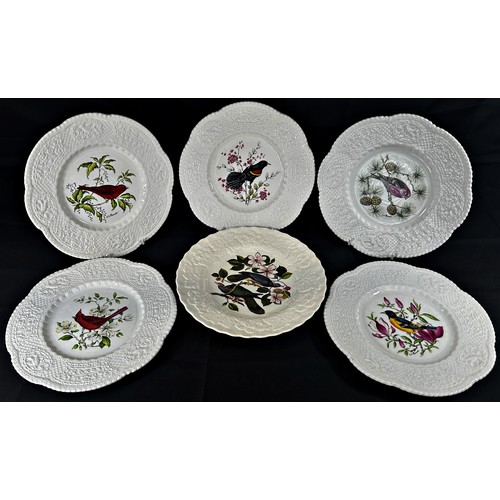 1 - A group of twelve Royal Cauldon American bird plates designed by Henry A Pausch (12)