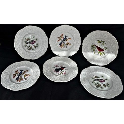 1 - A group of twelve Royal Cauldon American bird plates designed by Henry A Pausch (12)