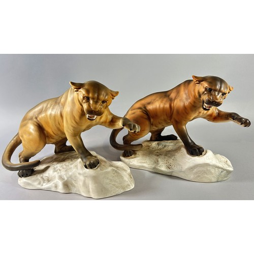 68 - Two large matt Beswick mountain lions on rock bases