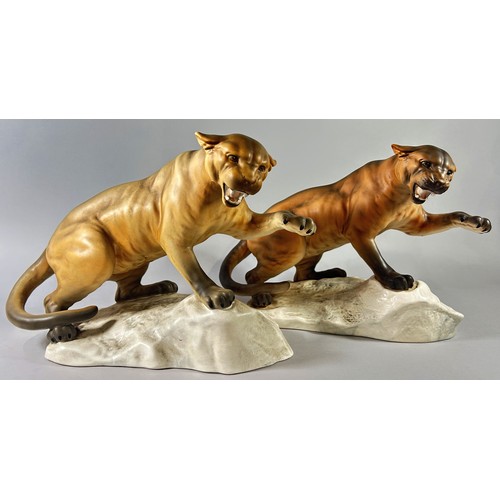 68 - Two large matt Beswick mountain lions on rock bases