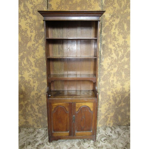 1160 - A small early 20th century oak side cupboard/dresser partially enclosed by a pair of arched panelled... 