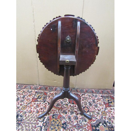 1460 - A Georgian mahogany tripod table with shaped outline on gun barrel pillar and tripod, 60cm diameter