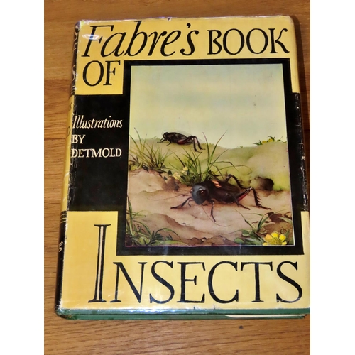 562 - Natural history, featuring a small library on butterflies, other insects and fish (20) including Fab... 