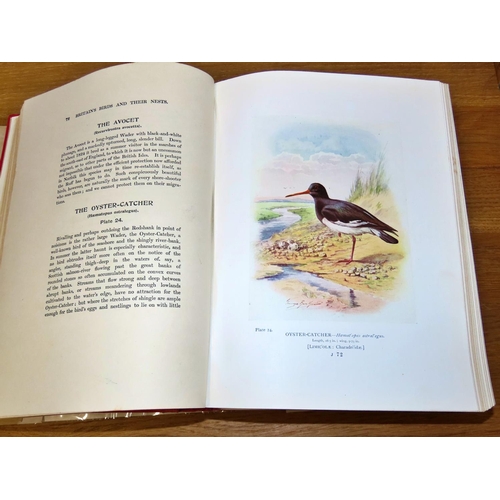 579 - A complete set of H F Witherby's The Handbook of British Birds (1943) (5 volumes) together with Geor... 